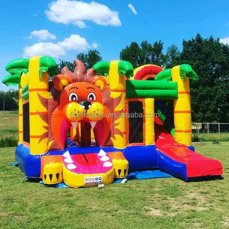 inflatable combo (81).jpg
