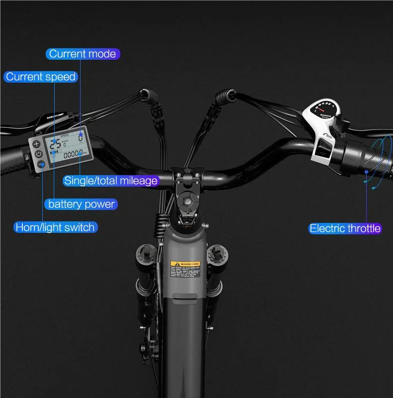 24inch Fat Tire Electric Bike Manufacturer Customized 500w 48V 16Ah Ebike Mountain Dirt Bicycle with Lithium Battery