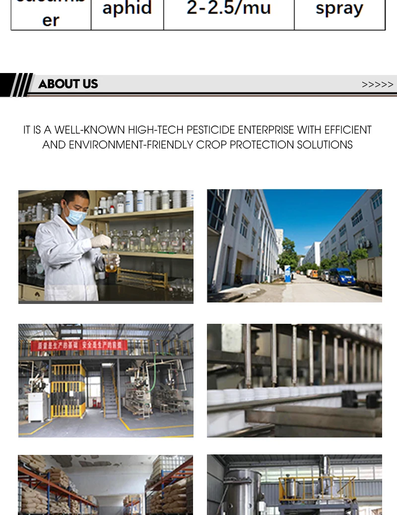 70% Acetamiprid WDG Aphids Thrips Whitefly Jumping Beetle Agricultural Pesticide Insecticide