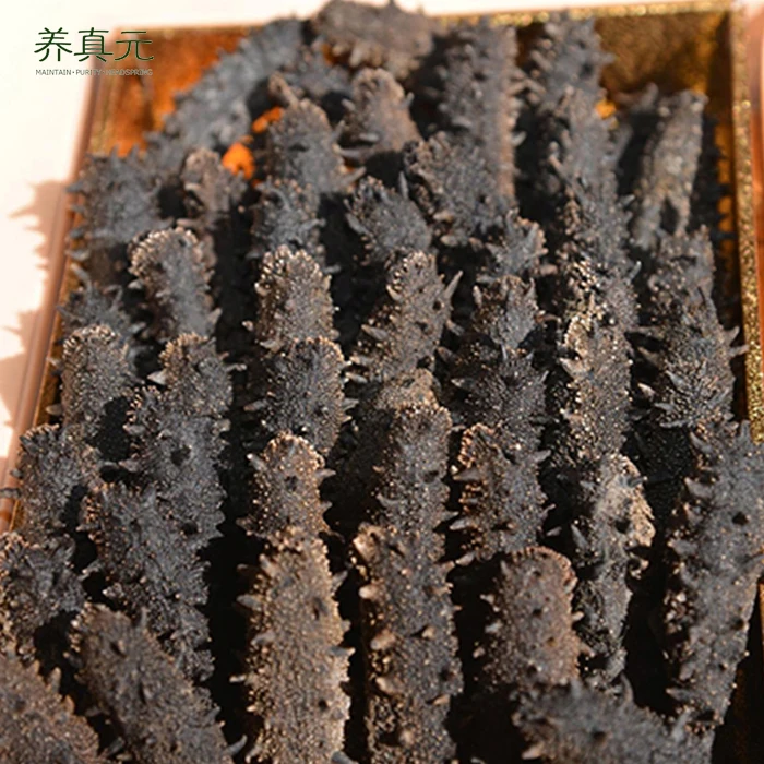 Wholesale Seafood Supplier Dry Sea Cucumber For Sale In Cheap Price