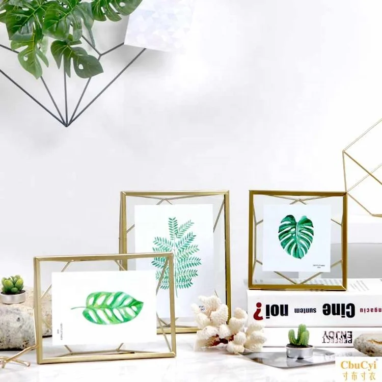 Home Decorative Picture Art Family Photo Frame Glass Copper  Gold Steel Metal Herbarium Photo Frame