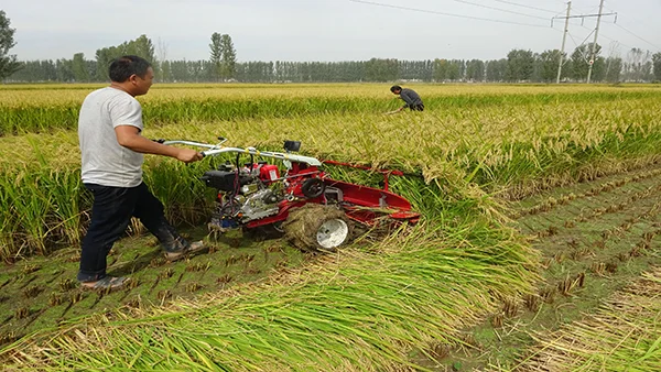 pea harvester for sale equipment garden agriculture  harvest machine for agriculture equipment