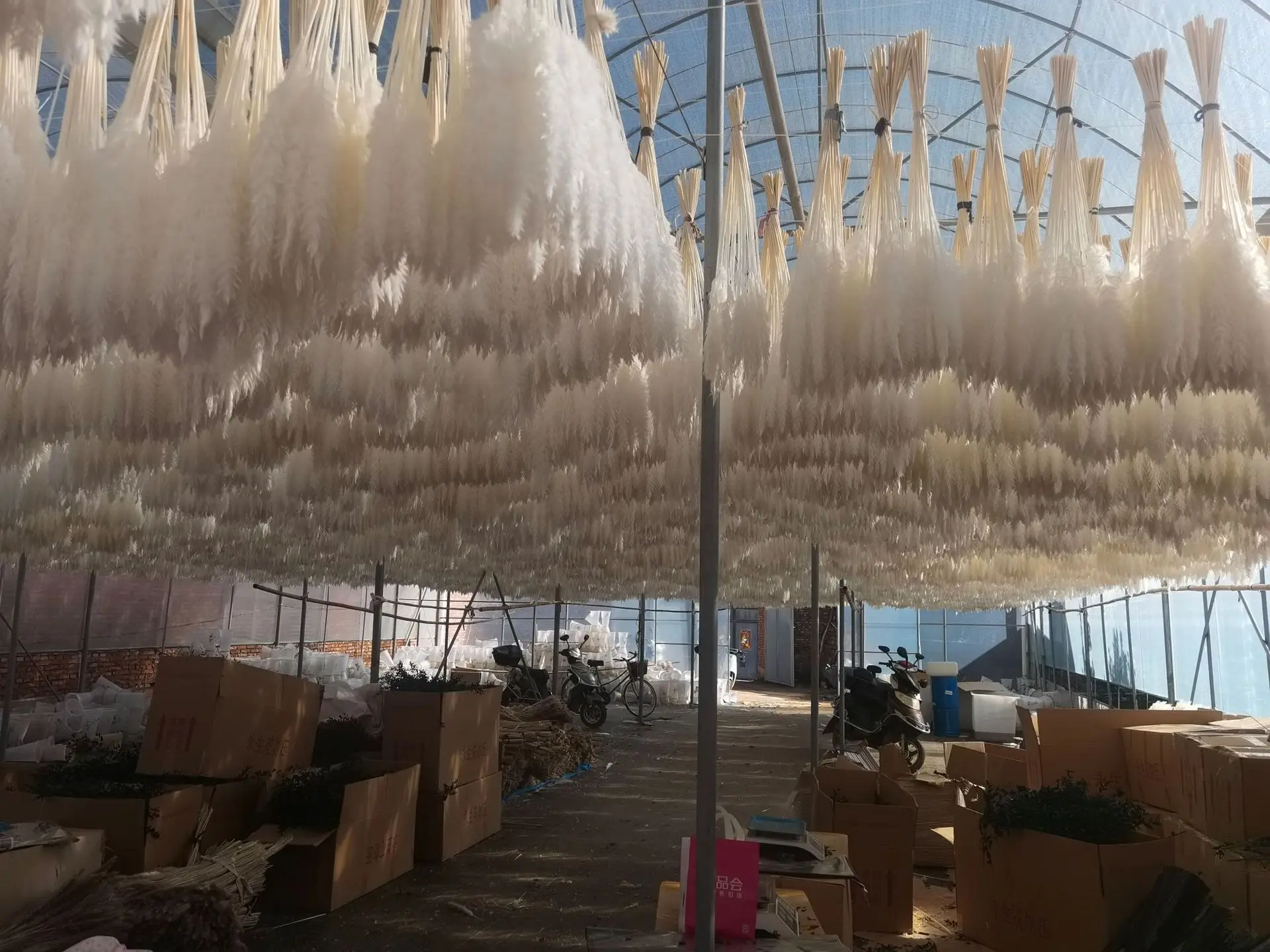 Good Selling Faux Pampas Decor Manufacturers Artificial Feather Pampass Grass