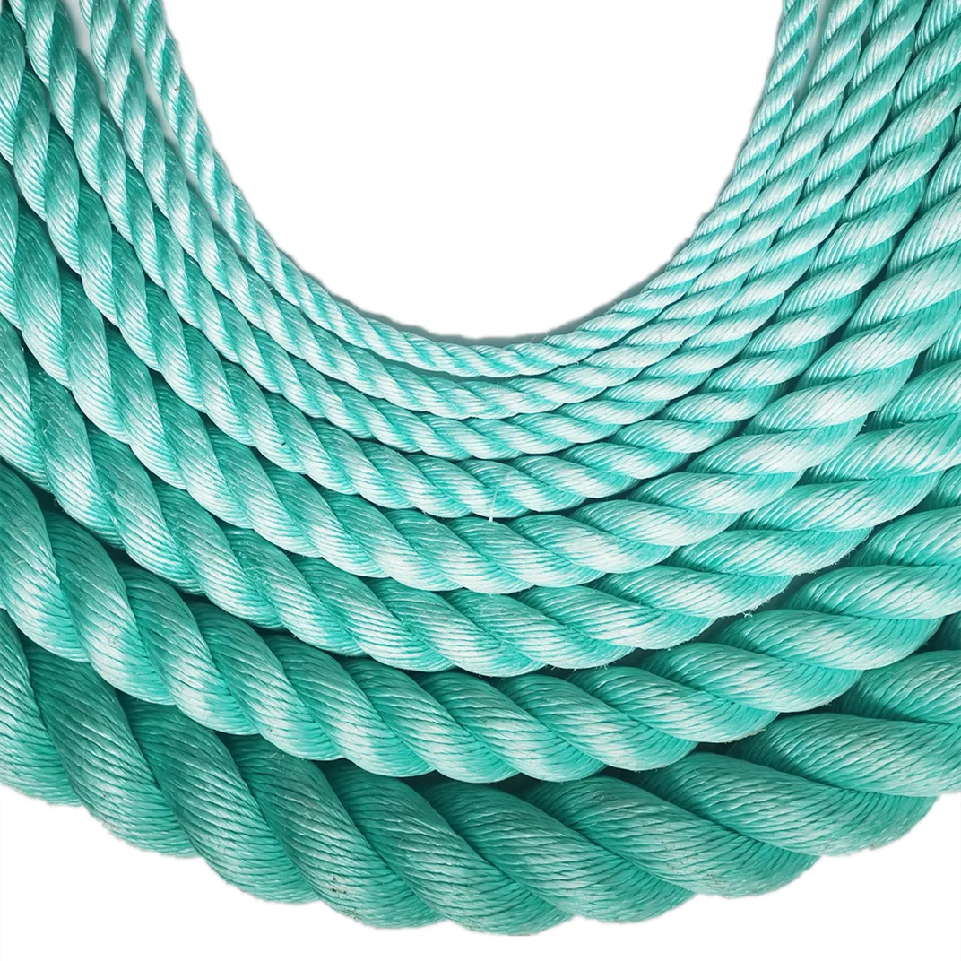 Factory Wholesale 3 Strand PP Dan Twisted Rope for Fisheries and Fishing Packaging Ropes