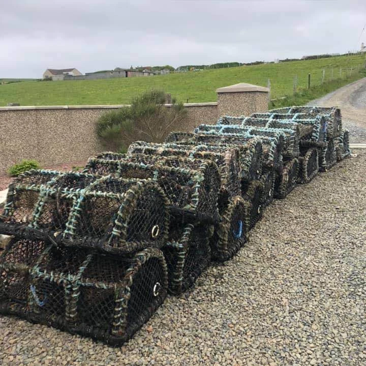 Europe Market Fishing Traps For Crawfish Crayfish Prawn Creel