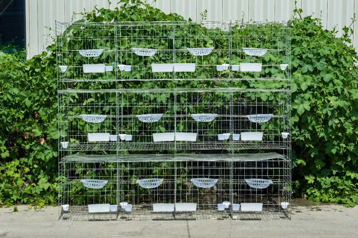 chicken cage design pigeon coops pigeon breeding cage