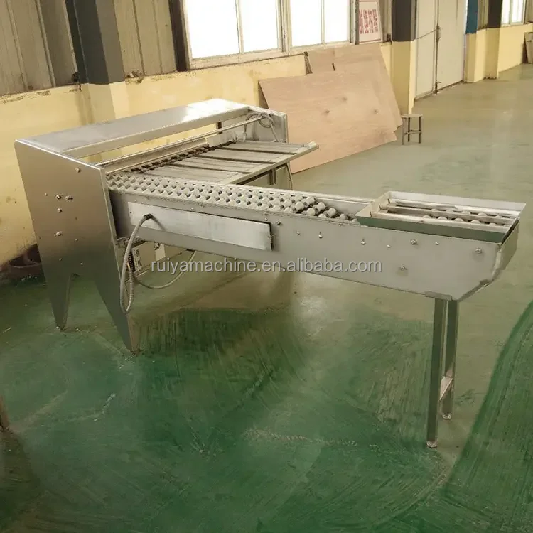 egg sorting machine (1)