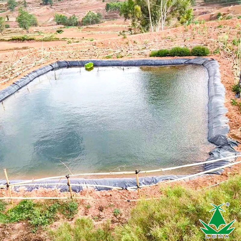 Hot Selling Polyethylene Pond Liner HDPE Geomembrane Aquaculture Equipment for Fish Bond Fish Farm Tank