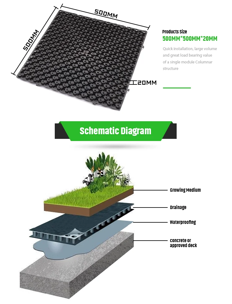 Plastic  drainage Sheet Mat Drain Board system Drainage Cell modules
