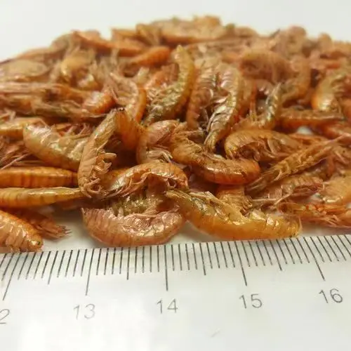 Pet Food Sun Dried Gammarus For Reptiles Food Fish Food
