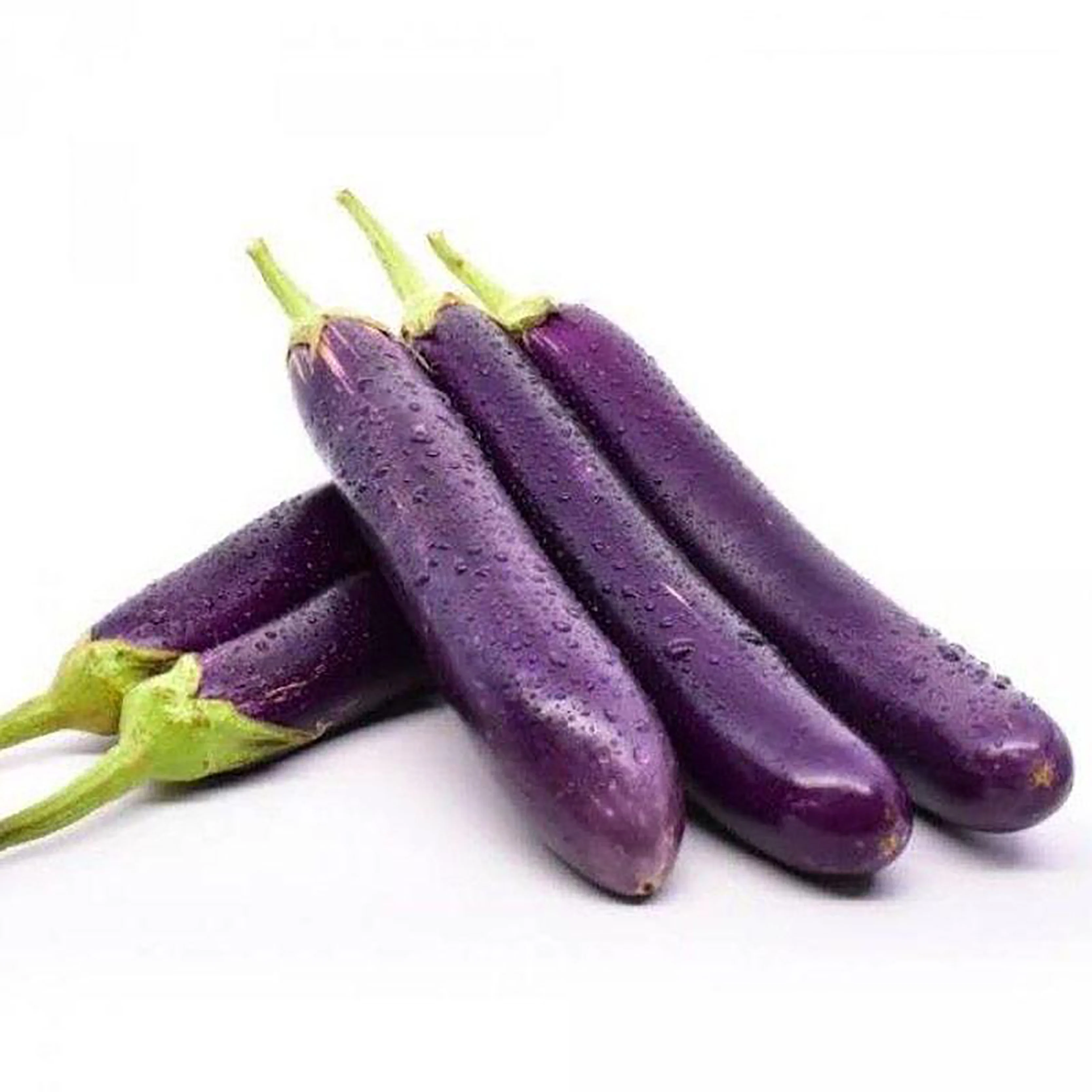 
Good Quality Fresh Egg plant In Large Quantity With Export Standard 