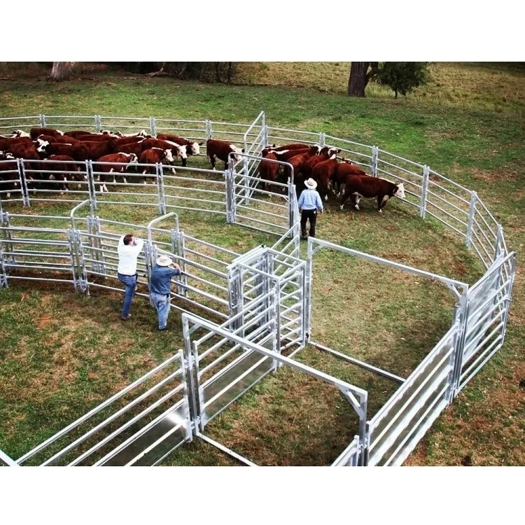 Farm Cattle Crush Fence Round Pen Equipment Cattle Handling Metal Animal Livestock Fence Panels For Sale