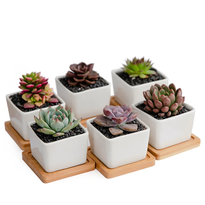 Mini Porcelain Ceramic Planter Pots White Garden Small Square Succulent Pots with Drainage Hole and Bamboo Tray