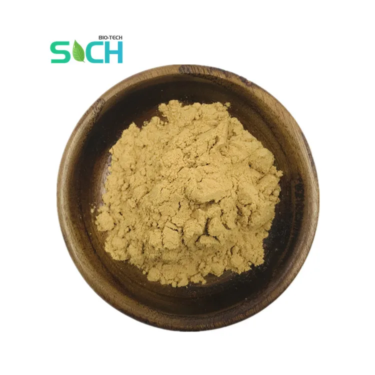 High Quality Nettle Extract Beta-sitosterol Best Price Stinging Nettle Root Extract Powder Nettle Root Extract