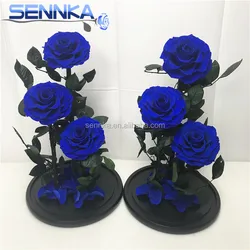 Three Big Preserved Flowers Roses in Glass dome Wedding Decoration