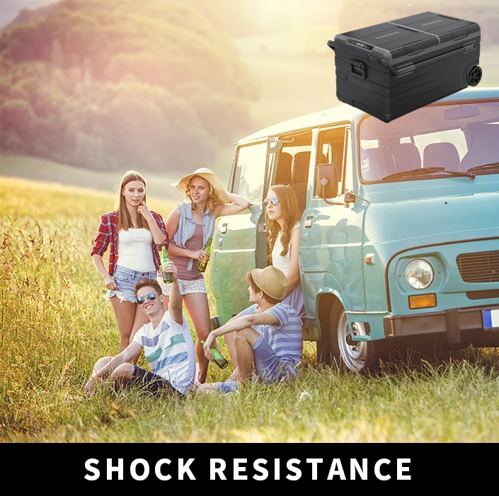 Top 3 Chinese Manufacturer Alpicool TWW95 Dual Temperature Control Compressor Car Fridges Refrigerator Portable Freezer