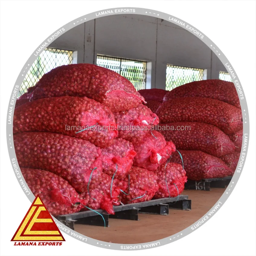 
Shallot Podisu Onion for Malayasia sambar onion 