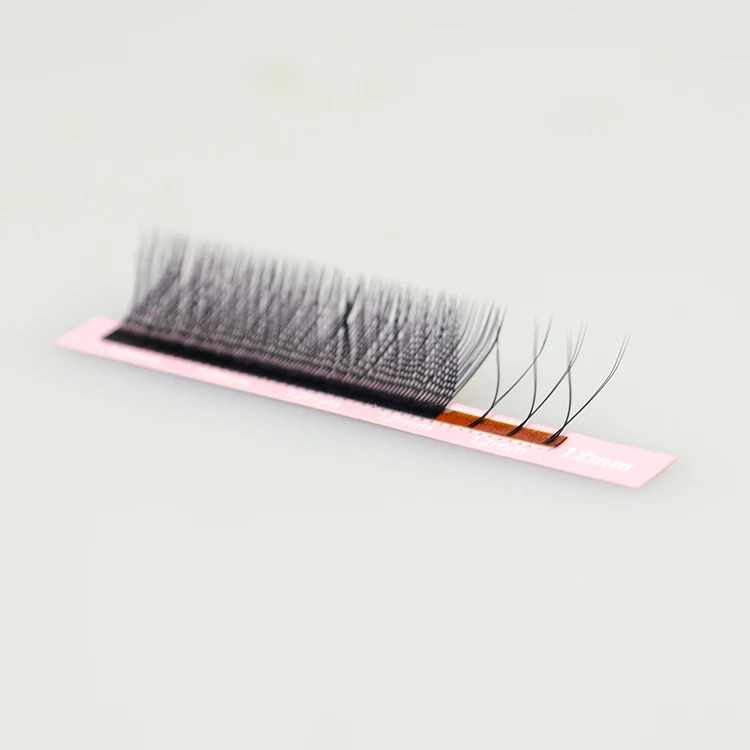 Qeelasee lash supplies russian volume 2d korea eyelash extension oem yy  y lash