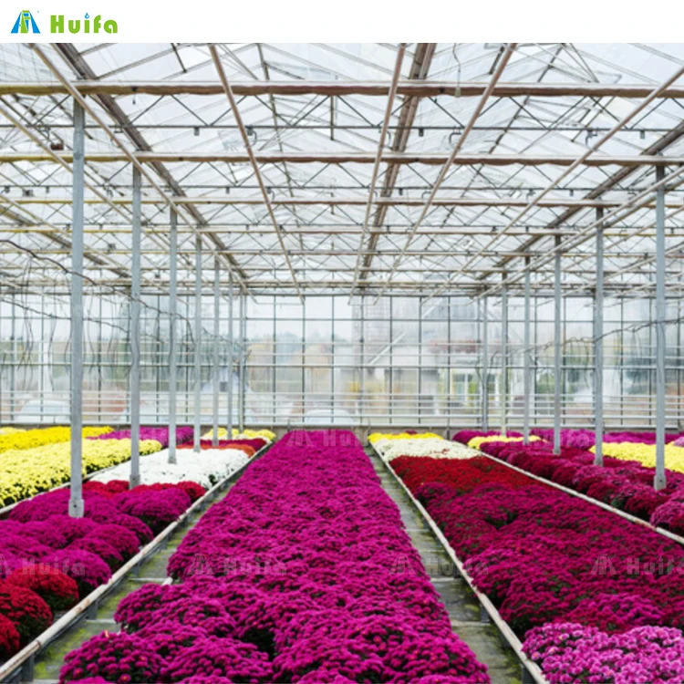 Modern Venlo Glass Nigeria Vegetable Greenhouse Multi-Span Commercial Flowers Green House With Tomato Hydroponic System