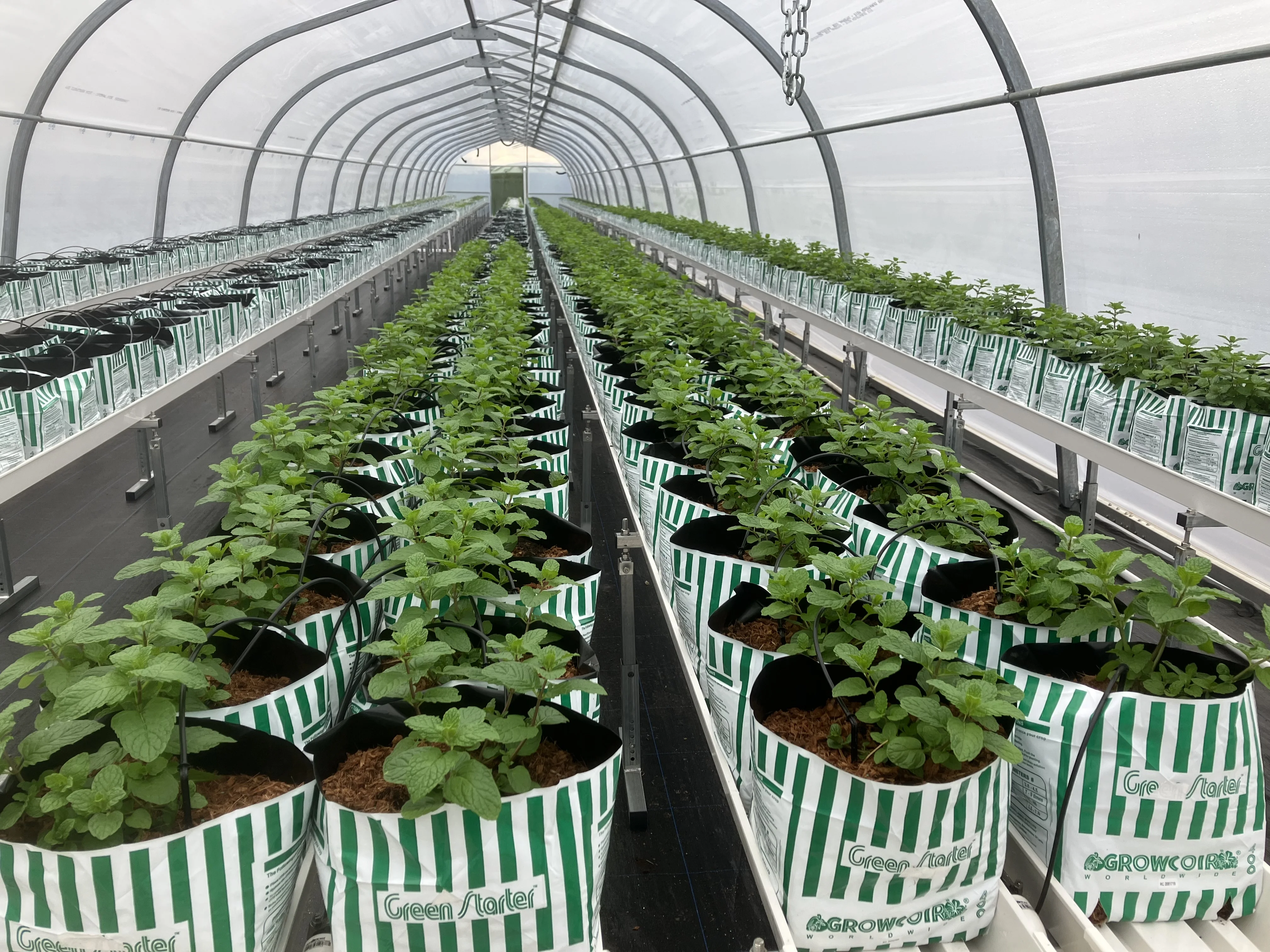 industrial greenhouse gutter vertical farming PVC Gutter Planting Gully System for Tomato Cucumber Strawberry Hydroponics