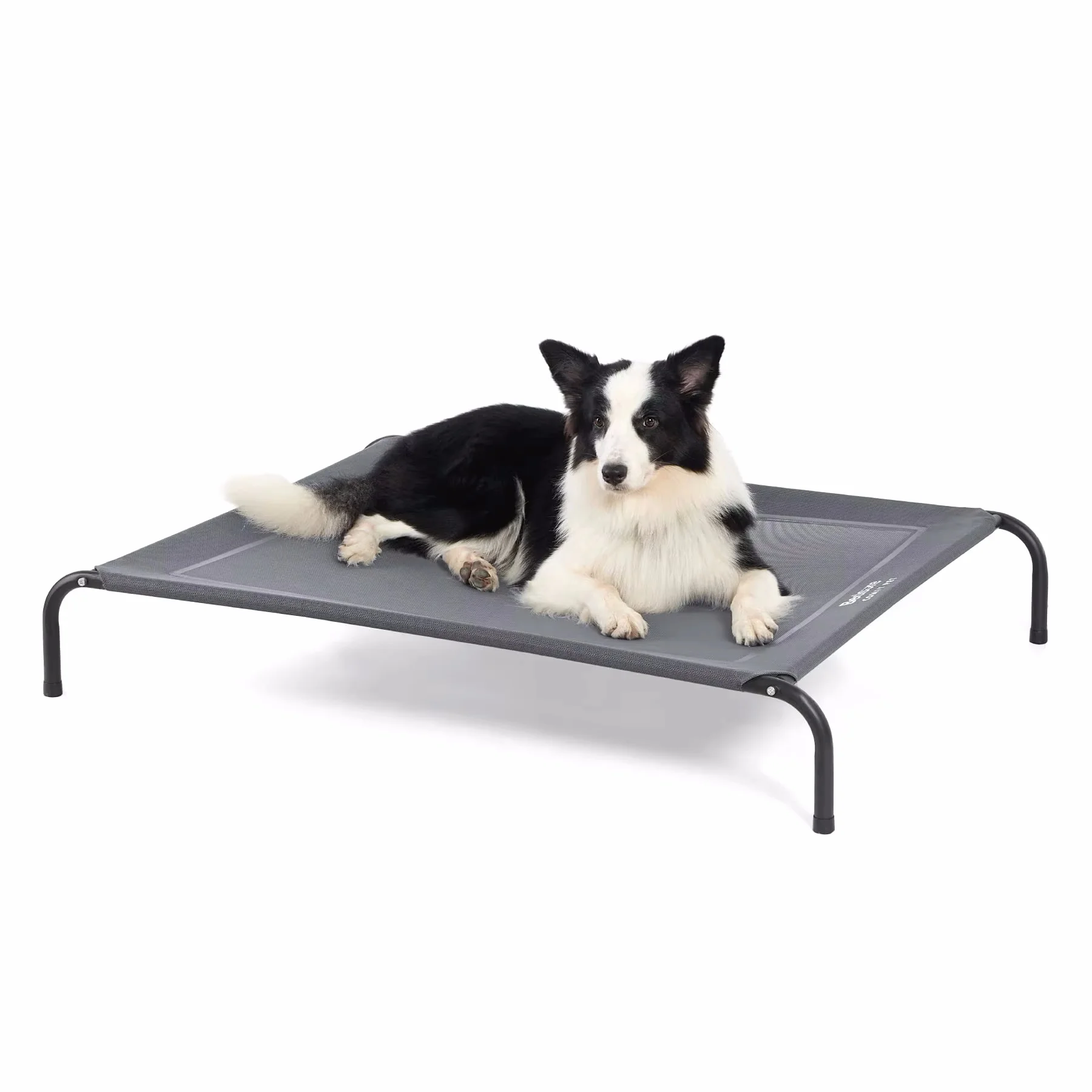 High Quality Waterproof Mesh Indoor and Outdoor Foldable Raised Elevated Dog Bed for Cat with Breathable Feature and Travel