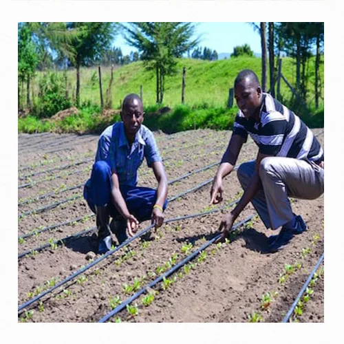 Agricultural drip irrigation tape system low price wholesale 16mm irrigation drip tape