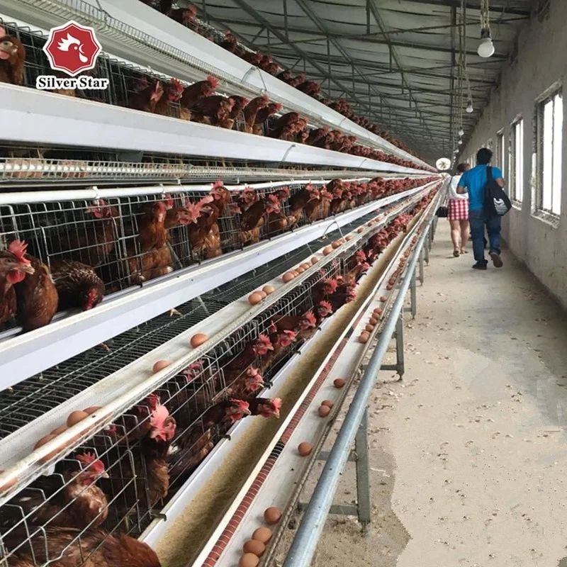 Factory Sales Layer Battery Chicken Cage Silver China Star Provided Chicken Farm Equipment 3 ,4 Tiers a Type Chicken Cage 63
