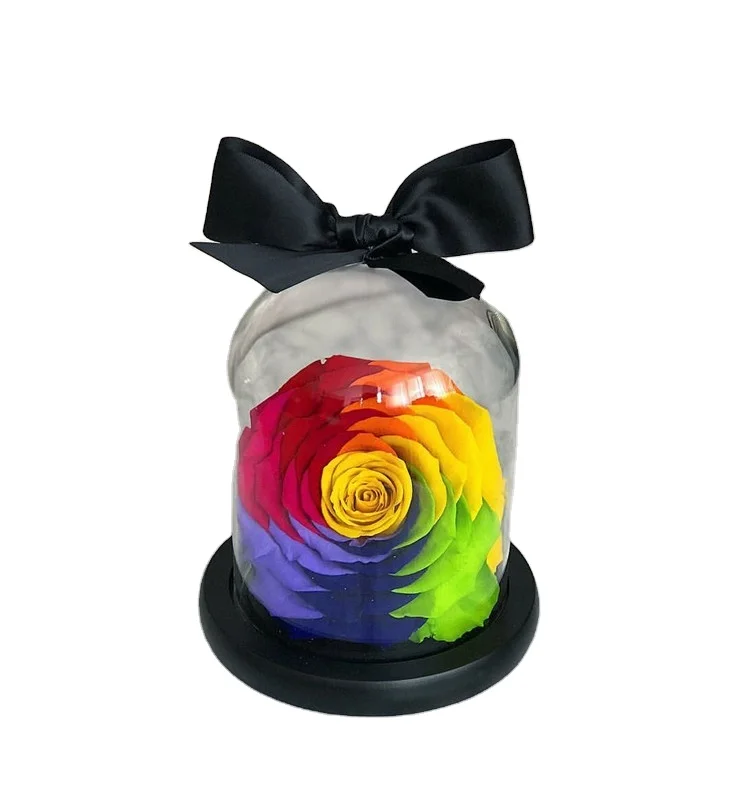 
Clear Glass Box with Wooden Stand Glass Dome Display Case with Wood Base 