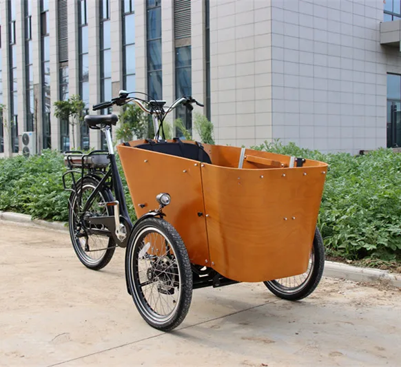 Delivery Ebike Electric Pet Camping Cargo Bike With Rear Motor