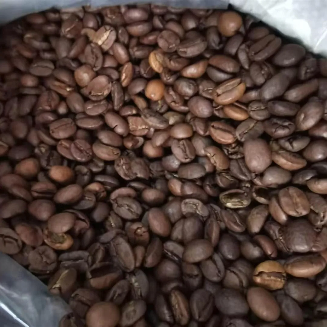 premium arabica deep medium roasted coffee beans green coffee beans in stock