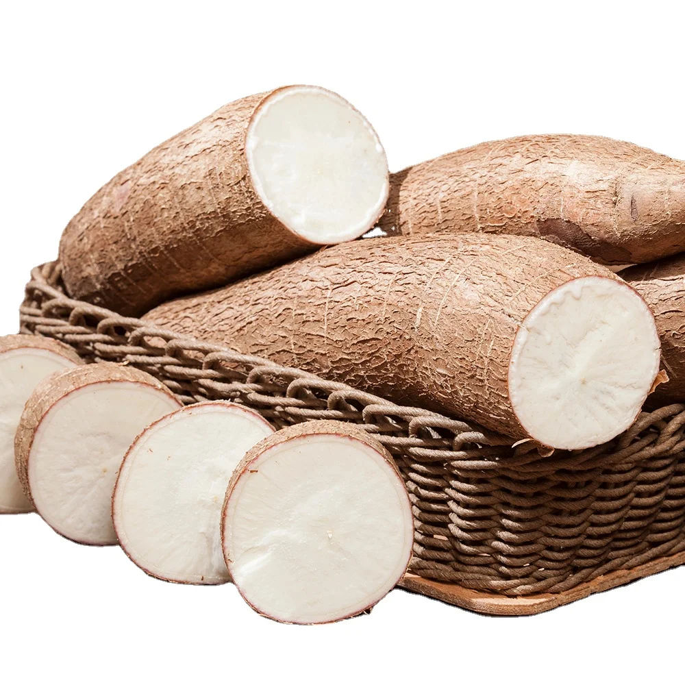Freshly harvested dried cassava / Raw cassava from Vietnam - Fast logistics and quick response available at the factory