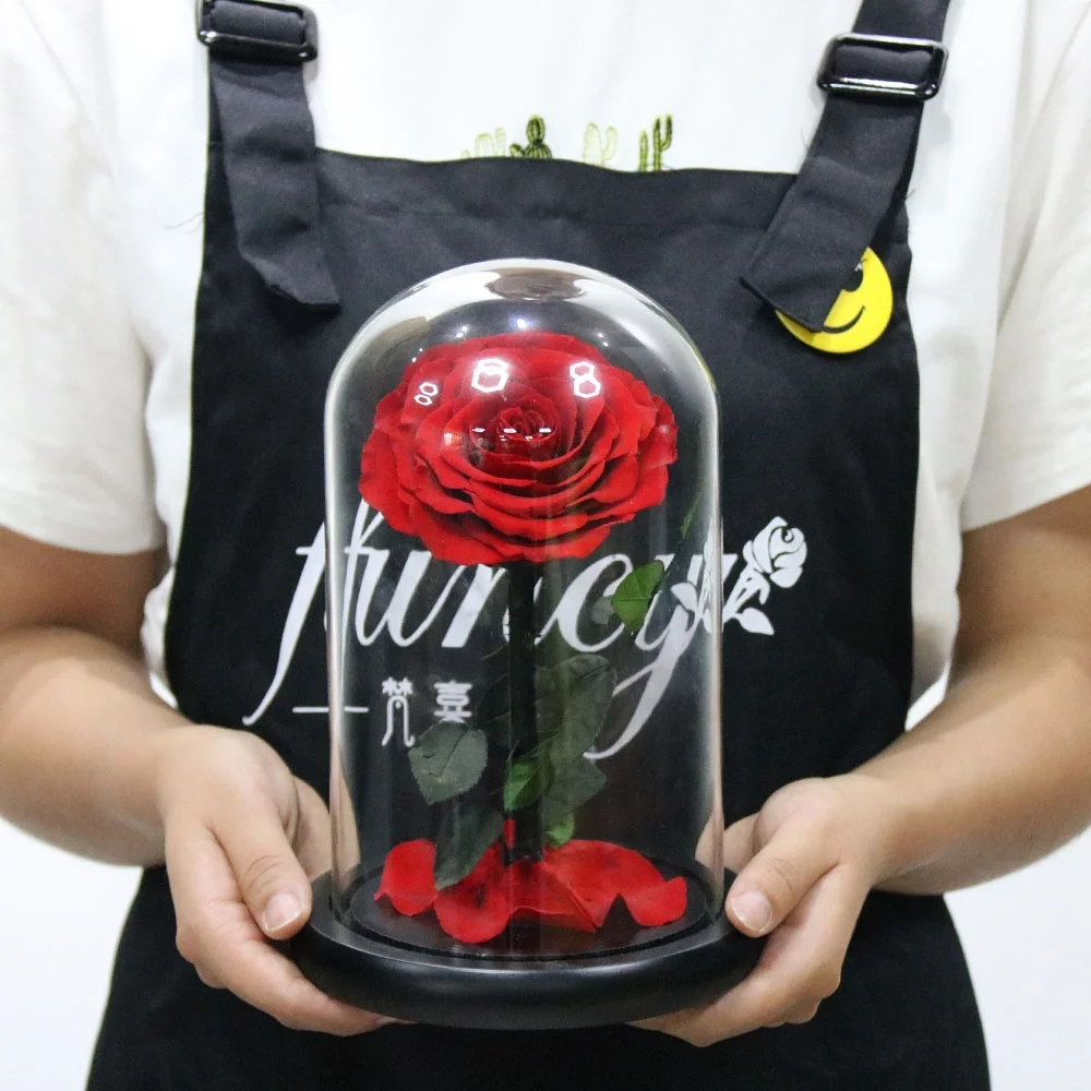 2019 Belle Enchanted Wholesale Preserved Roses Christmas Gifts Set Eternal Roses in Glass Dome