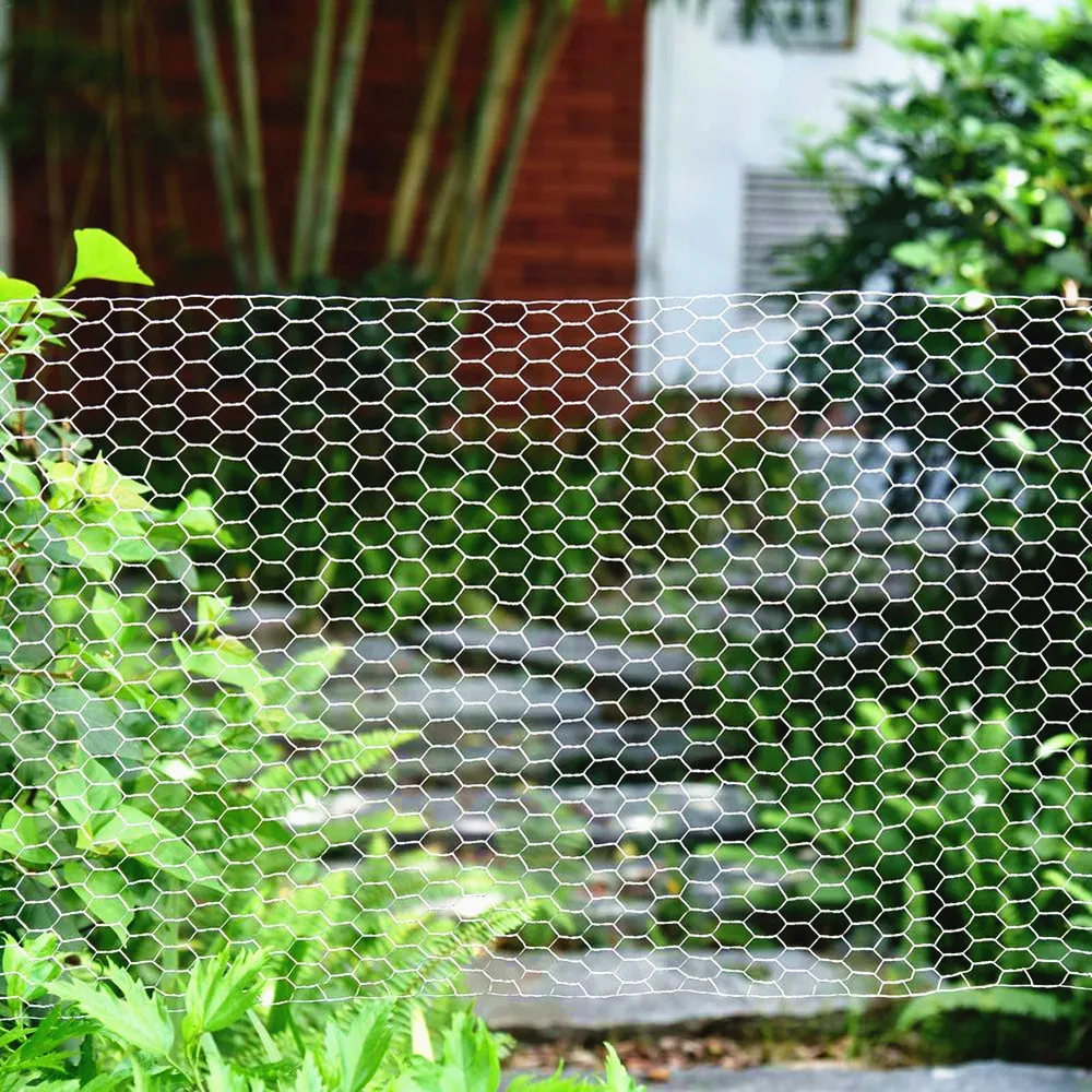 Free samples chicken hexagonal wire mesh for encircle poultry or garden