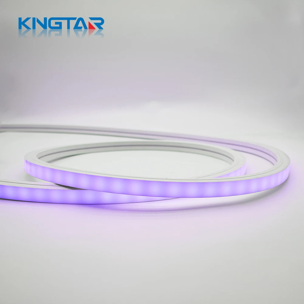 LED Neon Flex12V Flxe Light 16*16mm Size Colorful Indoor/Outdoor Decoration Landscape 5m Length