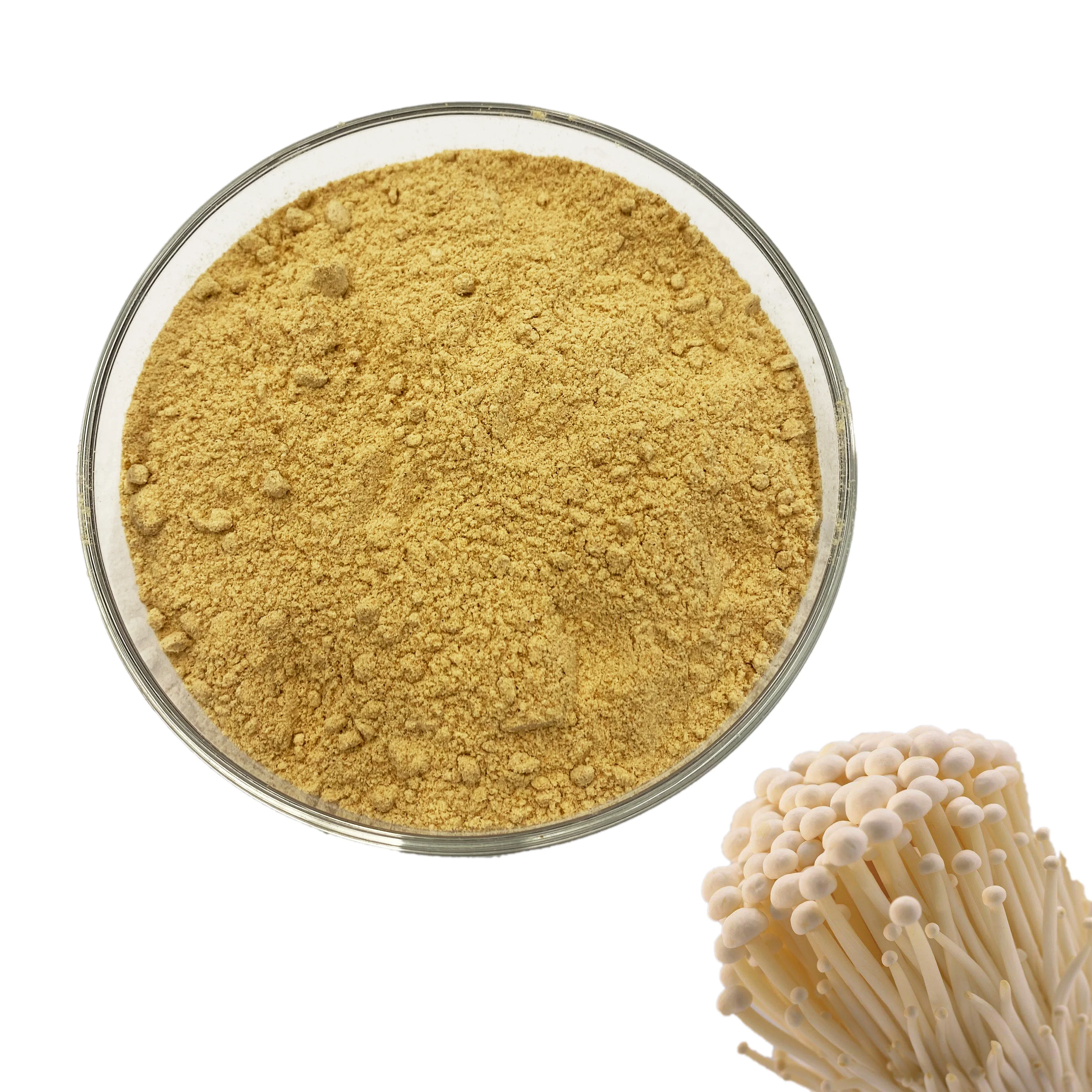 
Price Enoki Mushroom /Flammulina Velutipes / Tiger Lily Buds Extract powder 30% Polysaccharide 