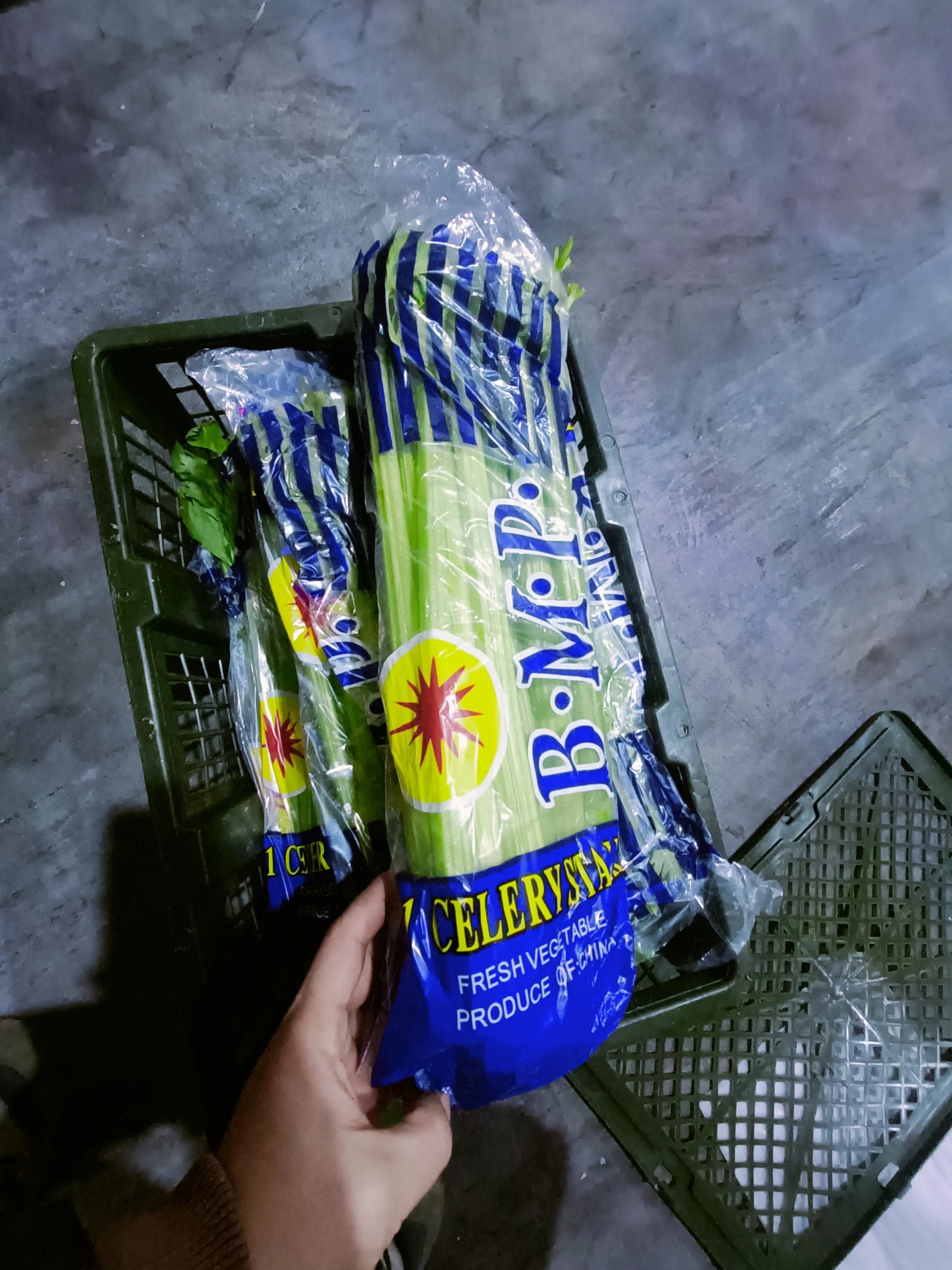 Fresh China Vegetables Nutritious Fresh Green  Celery