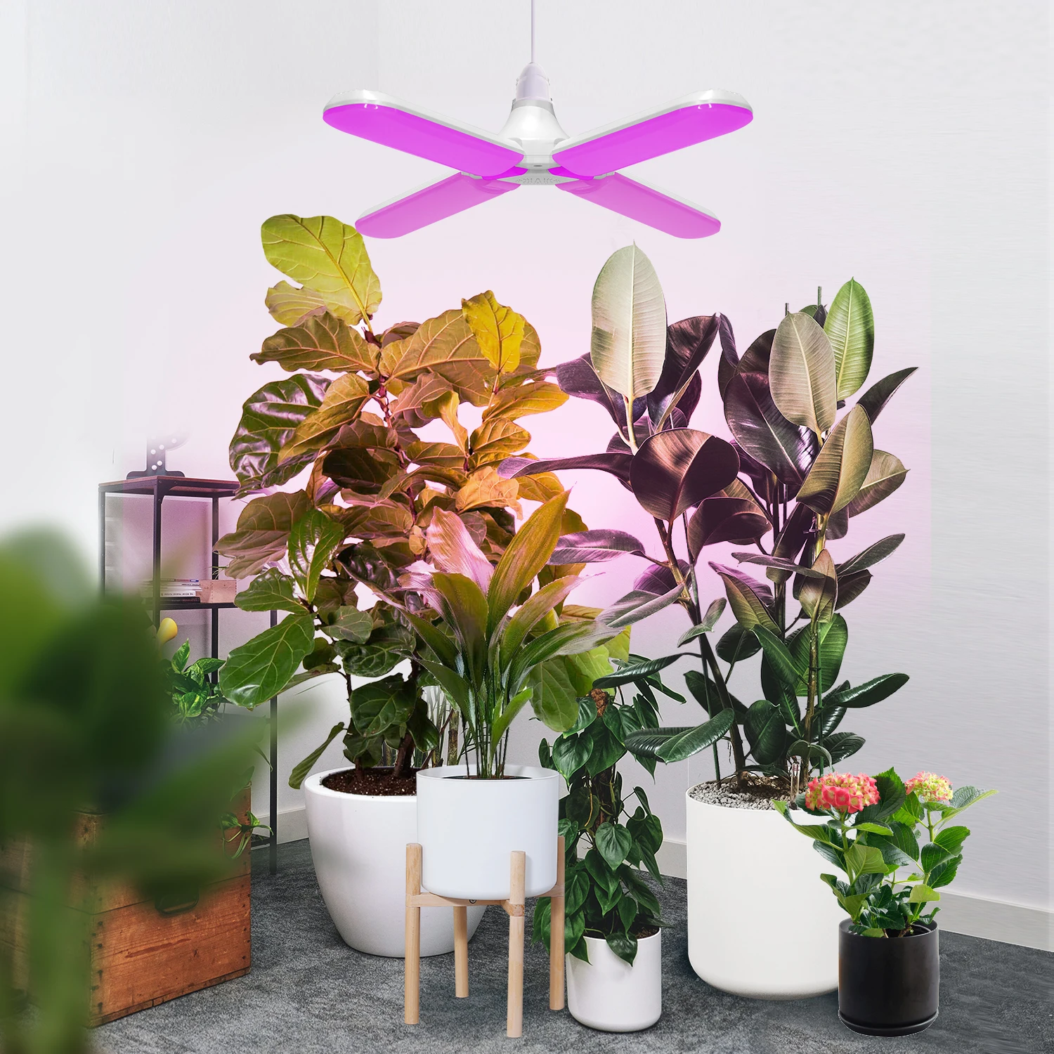 J&C Plant Light Bulb Two Head Grow Light Full Spectrum LED Greenhouse Plant Lights Vegetable Houseplant