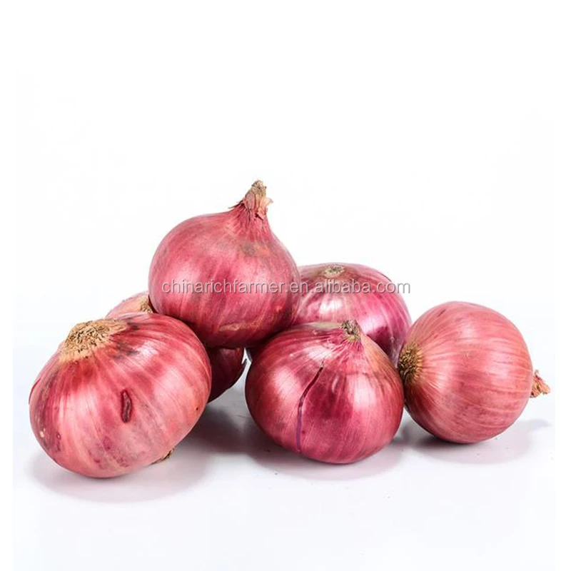 China Fresh Onion Supplier Red Onion