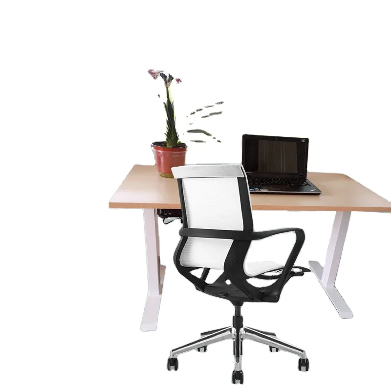 Preferred ergonomic desk Adjustable home desk