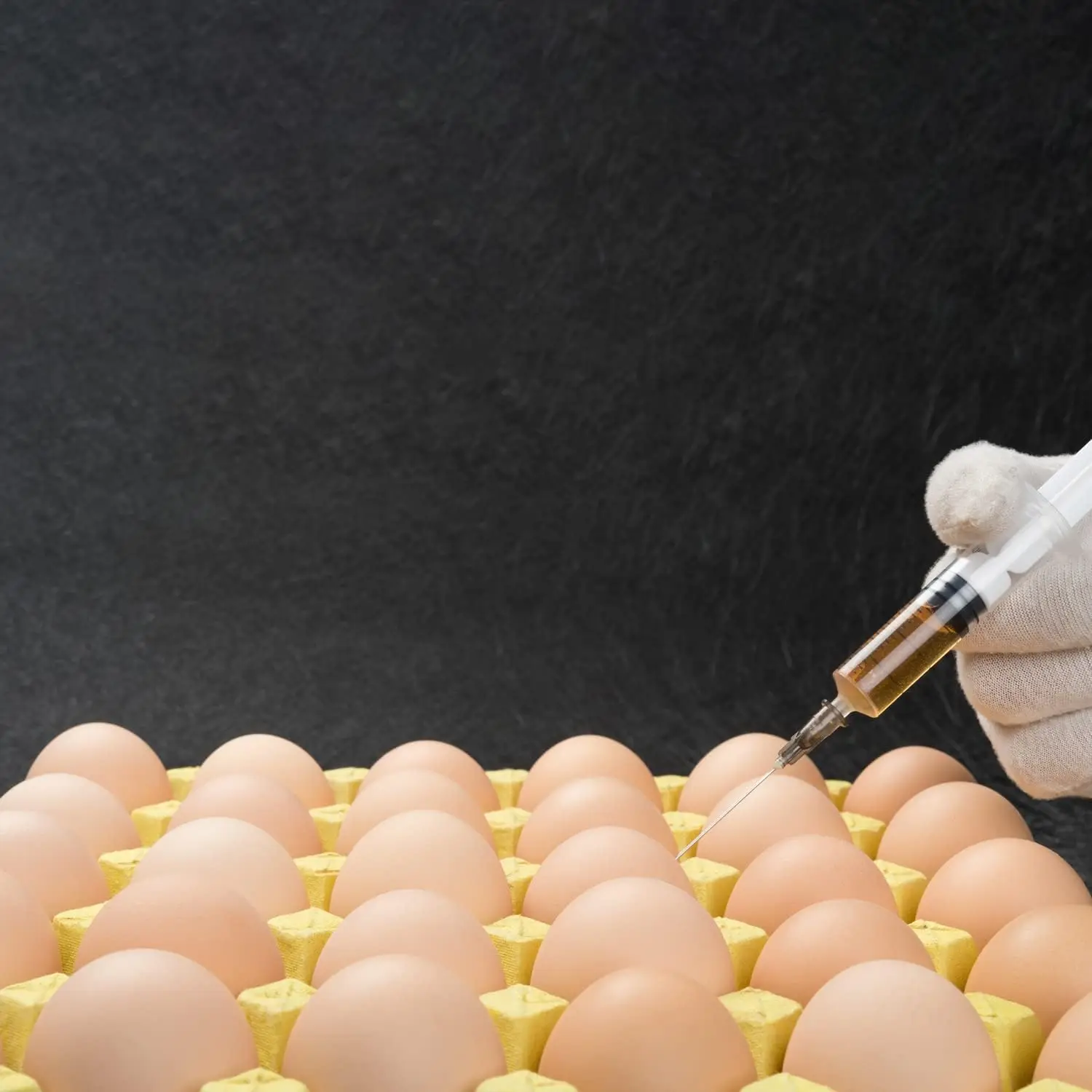 Pet Hospital Animal Veterinary Medical Syringe Portable Volumetric Infusion Vet Stainless Steel Needle plastic vaccine Syringe