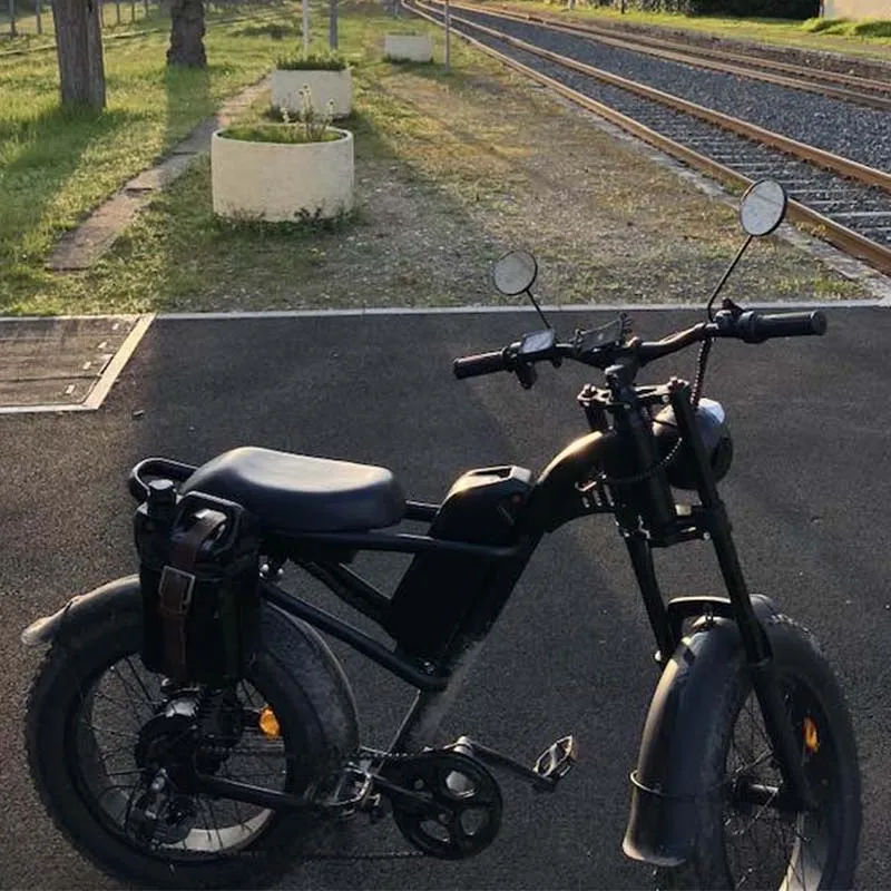 250W Brushless Motor 7 Speed Cruise Control Mountain Snow E Bike with Disc Brake