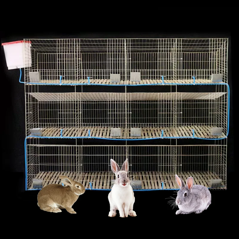 GREAT FARM Hot Sale  Easy Commercial Rabbit Cages Hot Dip Galvanizing Rabbit Cages For Animal Farm