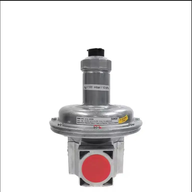 Gas Regulator Dungs Pressure Reducing Valves FRNG 520 Gas Relief Valve Monitoring Systeam For Industrial