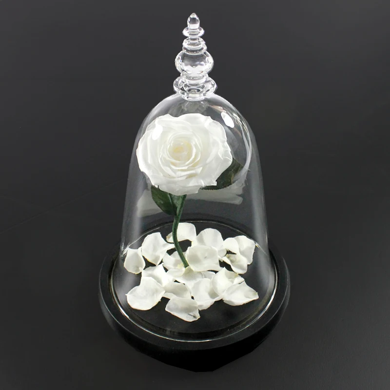 Tiktok hot selling dry flowers preserved flower decoration eternal rose preserved rose in glass dome