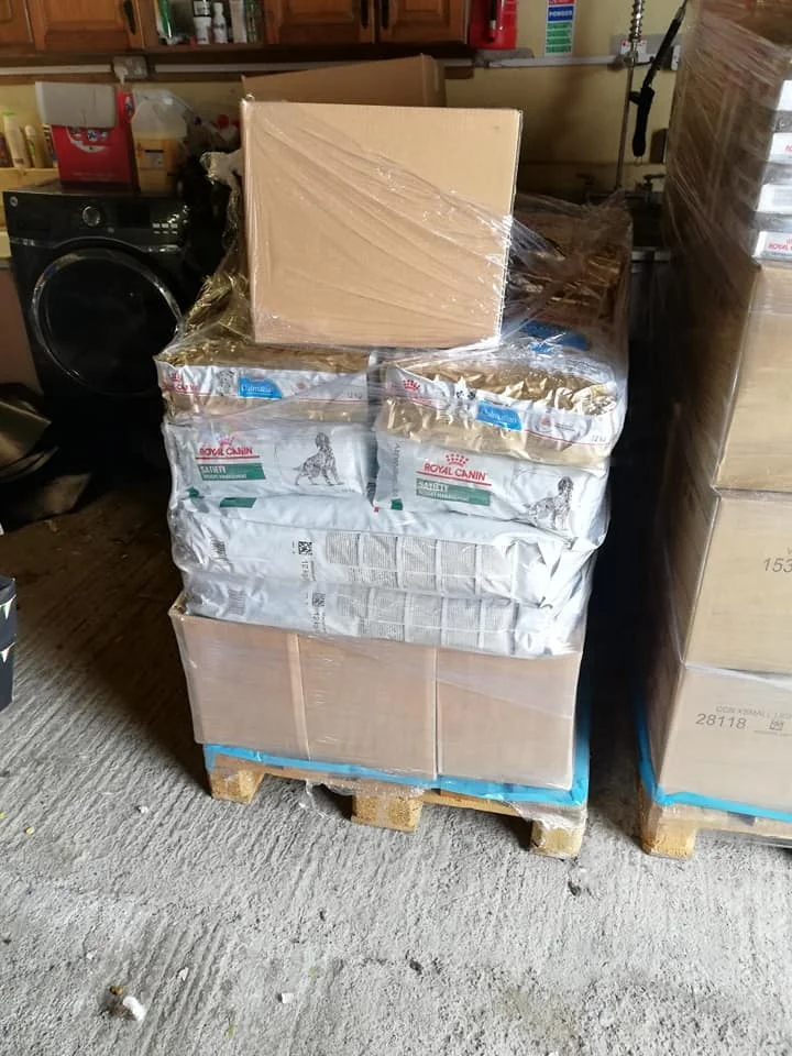 Royal Canin Club Pro сухой корм для собак специальная производительность