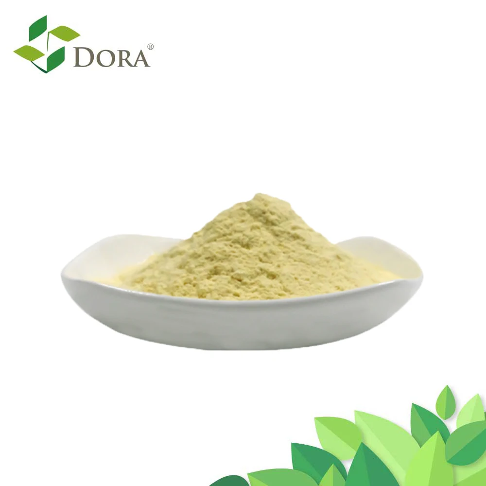 Dora Aminopoly80 Boosts Protein Synthesis with Enzyme-Hydrolyzed Amino Acids