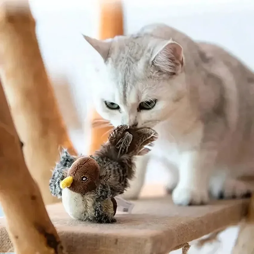 Kitten Interactive Chirpping Bird Cat Toy For Indoor Cats Self Play