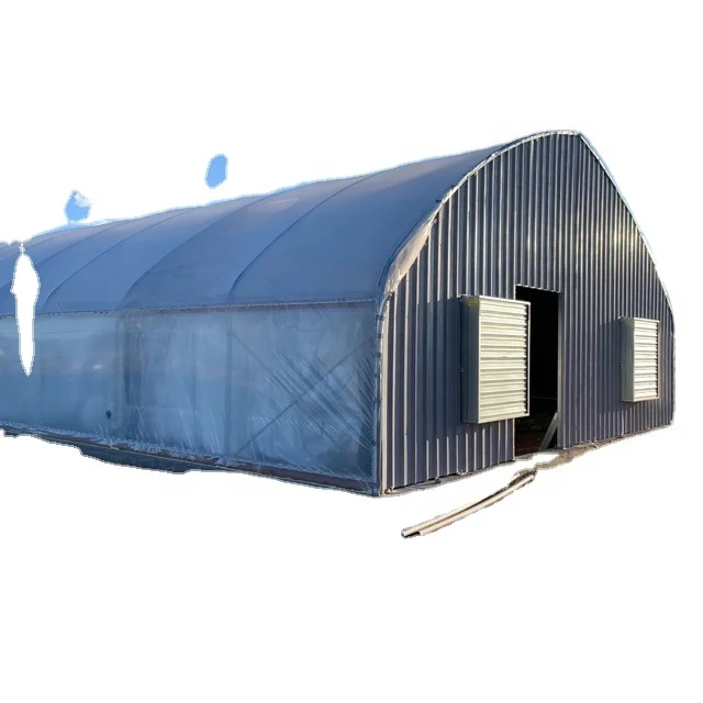Factory Wholesale Hydroponic Greenhouse System Tunnel Greenhouse Agricultural and Commercial