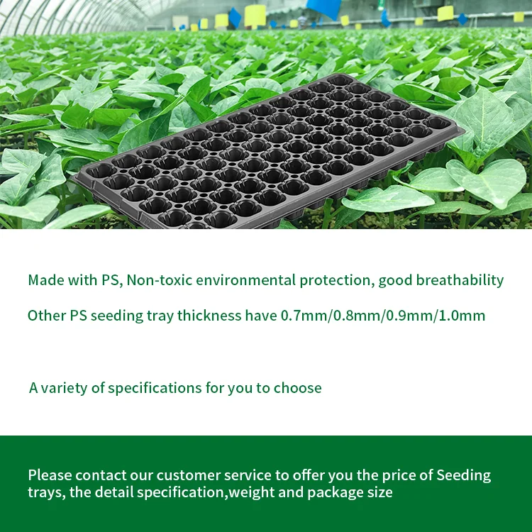 
Transplanter Biodegradable 128 Cells Plastic Seedling Germination rice Seed Tray 