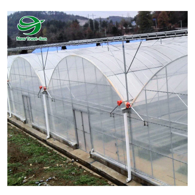 
Low Cost Multispan PO Film Agricultural Greenhouse for Sale with NFT Hydroponic Systems 